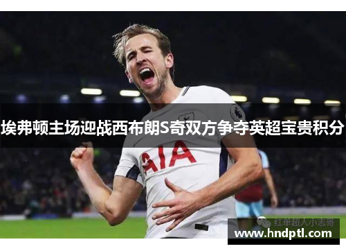 埃弗顿主场迎战西布朗S奇双方争夺英超宝贵积分